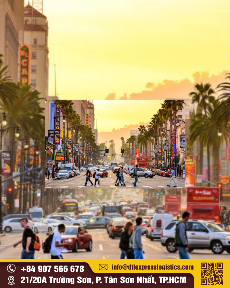 Nước Mỹ Có Bao Nhiêu Người? Cập Nhật Số Liệu Dân Số Mỹ Mới Nhất 2026